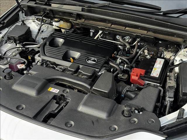 TOYOTA LEXUS NX250 2023