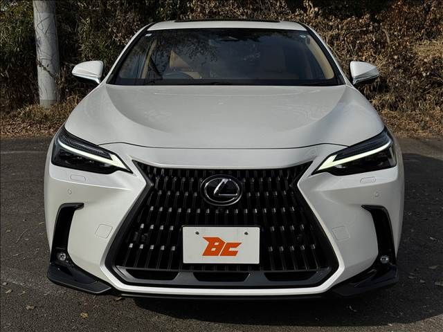 TOYOTA LEXUS NX250 2023