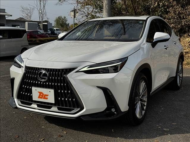 TOYOTA LEXUS NX250 2023