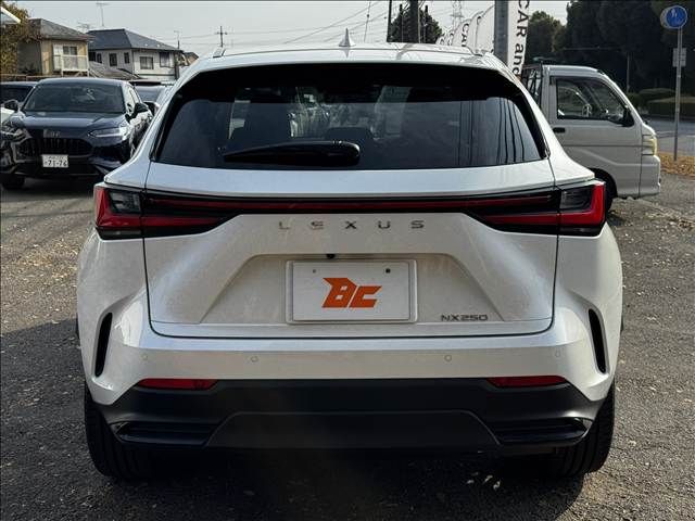 TOYOTA LEXUS NX250 2023