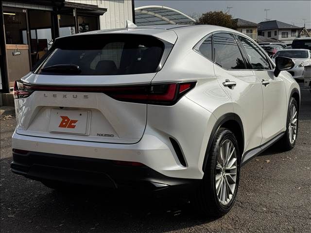 TOYOTA LEXUS NX250 2023