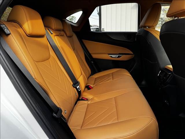 TOYOTA LEXUS NX250 2023