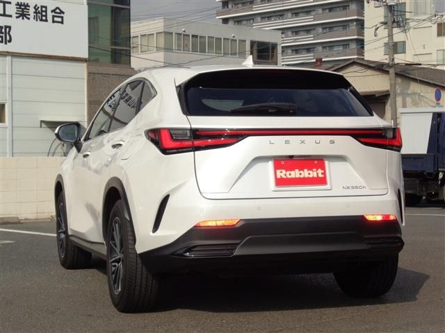 TOYOTA LEXUS NX350h 2023