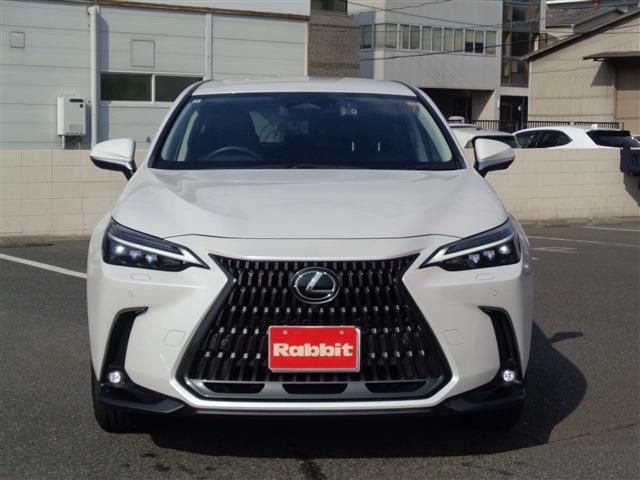 TOYOTA LEXUS NX350h 2023