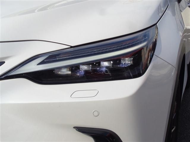 TOYOTA LEXUS NX350h 2023