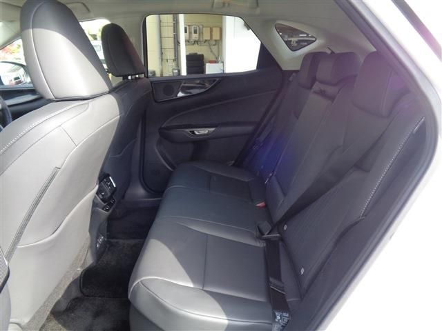 TOYOTA LEXUS NX350h 2023