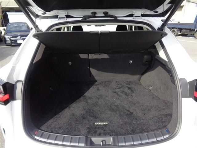 TOYOTA LEXUS NX350h 2023