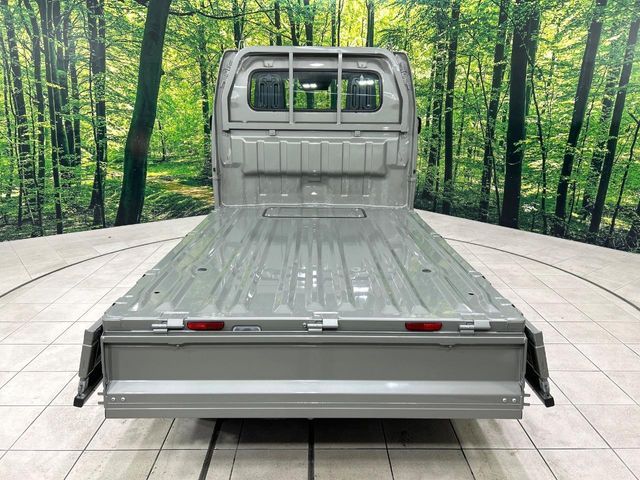 SUZUKI CARRY truck 2025