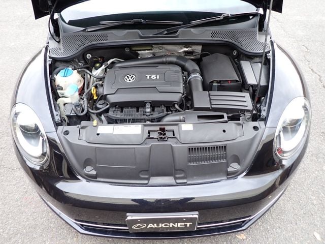 VOLKSWAGEN VOLKSWAGEN The BEETLE 2013