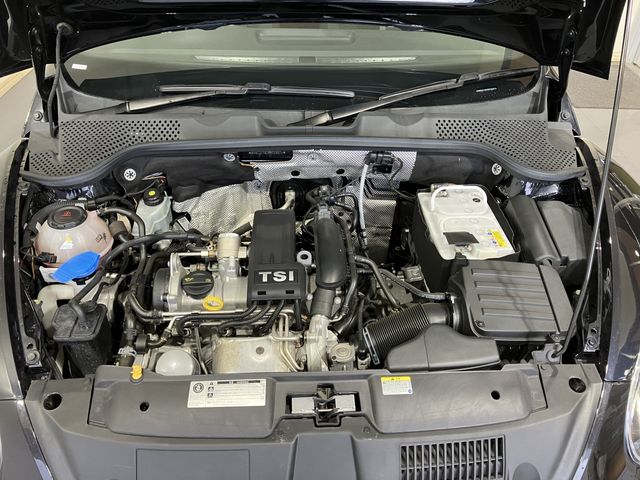 VOLKSWAGEN VOLKSWAGEN The BEETLE 2018