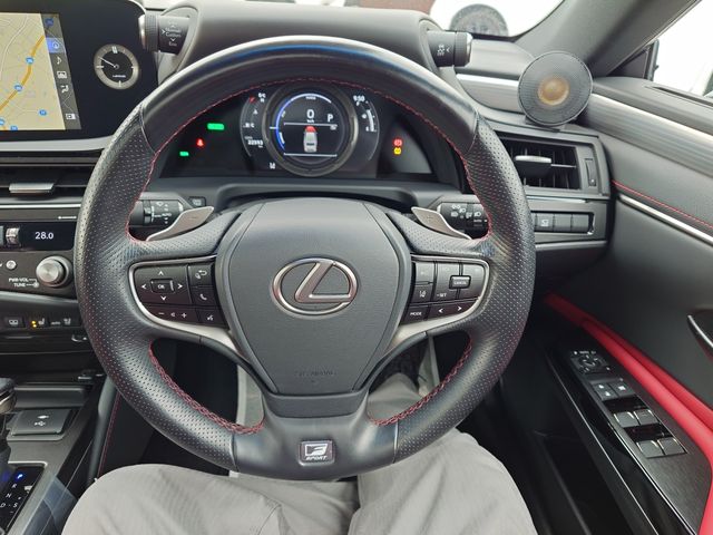 TOYOTA LEXUS ES300h 2021