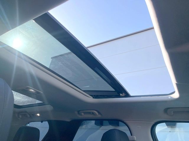 ROVER ROVER DISCOVERY 2019