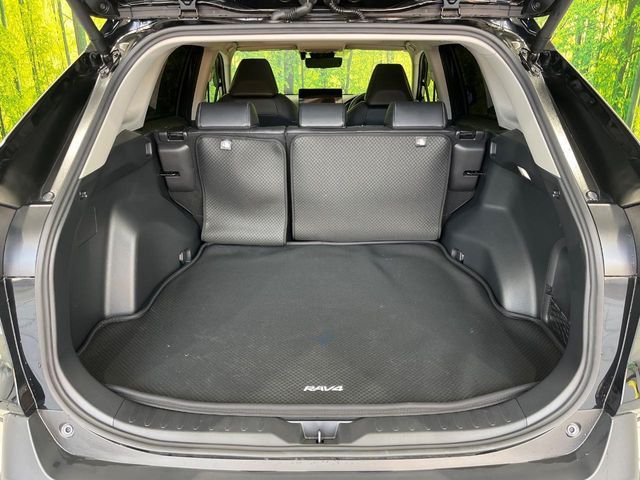 TOYOTA RAV4 HYBRID 4WD 2024