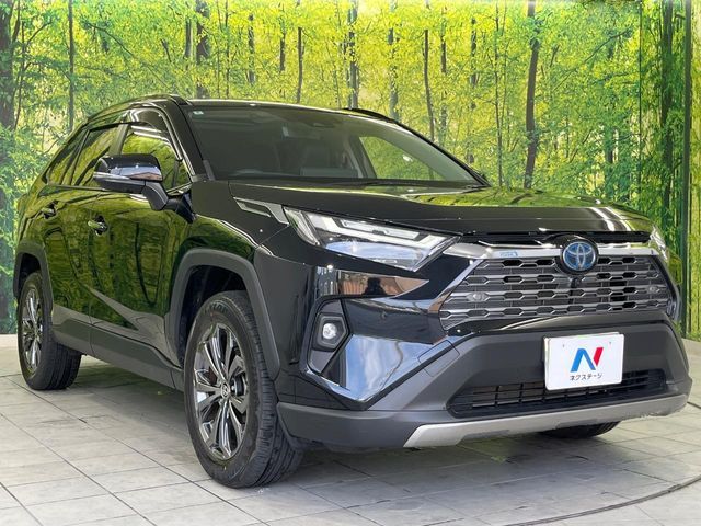 TOYOTA RAV4 HYBRID 4WD 2024