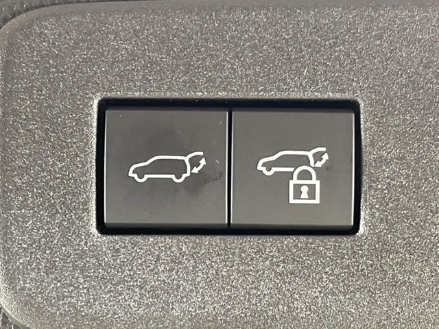 TOYOTA LANDCRUISER 250 2024