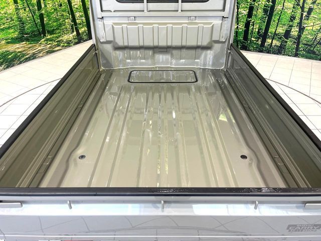 SUZUKI CARRY truck 2024