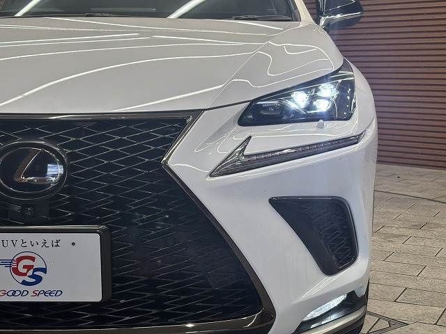 TOYOTA LEXUS NX300h 2018