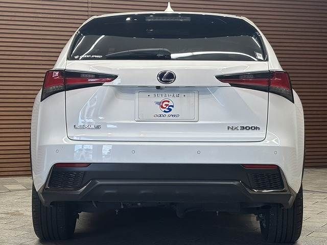 TOYOTA LEXUS NX300h 2018
