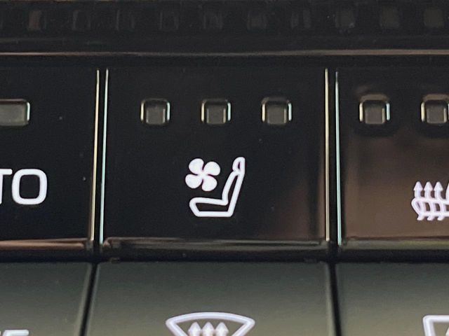 TOYOTA LANDCRUISER 250 2024