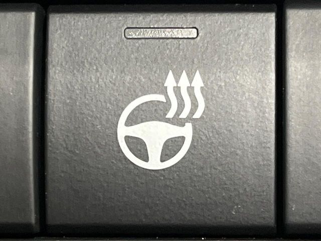 TOYOTA RAV4 4WD 2023