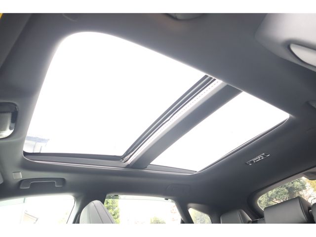 TOYOTA LEXUS RX500h 2023