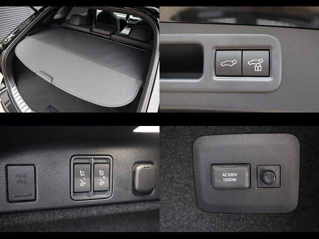 TOYOTA LEXUS RX500h 2023