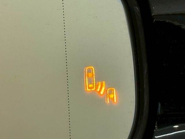 TOYOTA LEXUS UX250h 2021