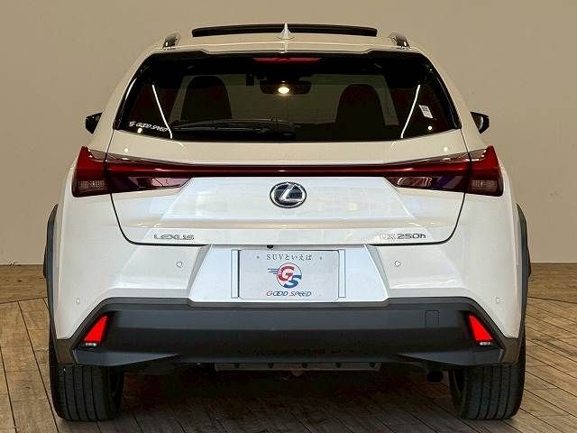TOYOTA LEXUS UX250h 2021
