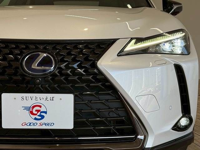 TOYOTA LEXUS UX250h 2021