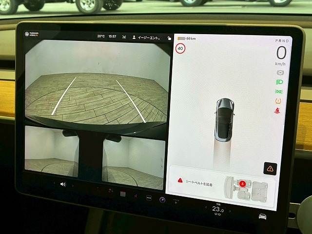 TESLA TESLA MODEL 3 2020