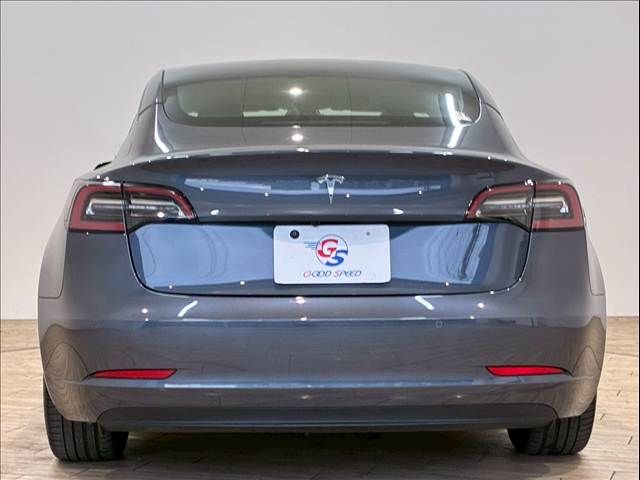 TESLA TESLA MODEL 3 2020