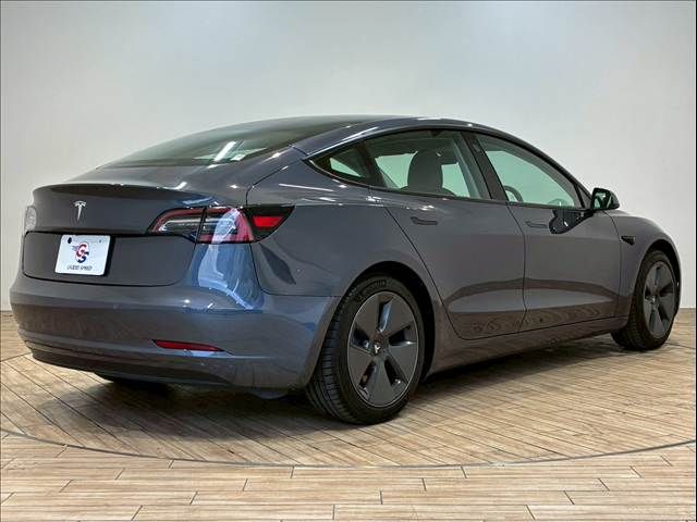 TESLA TESLA MODEL 3 2020