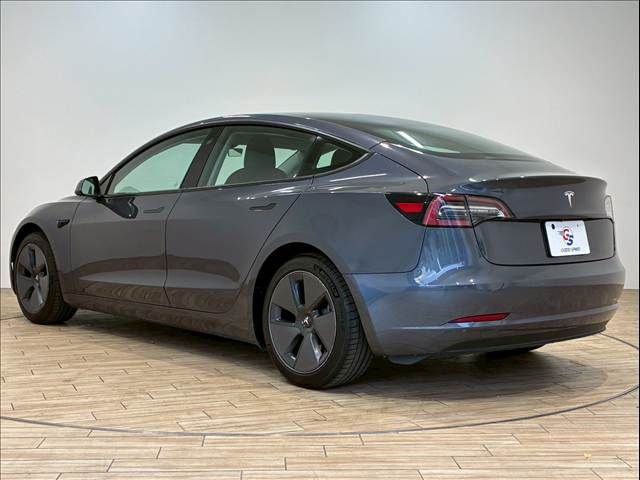 TESLA TESLA MODEL 3 2020