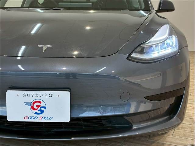 TESLA TESLA MODEL 3 2020