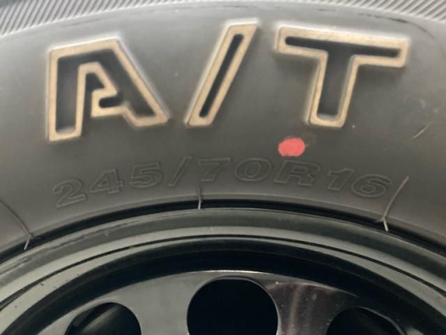 VOLKSWAGEN VOLKSWAGEN TIGUAN 2009