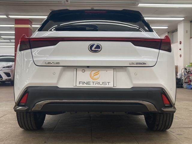 TOYOTA LEXUS UX250h 2019