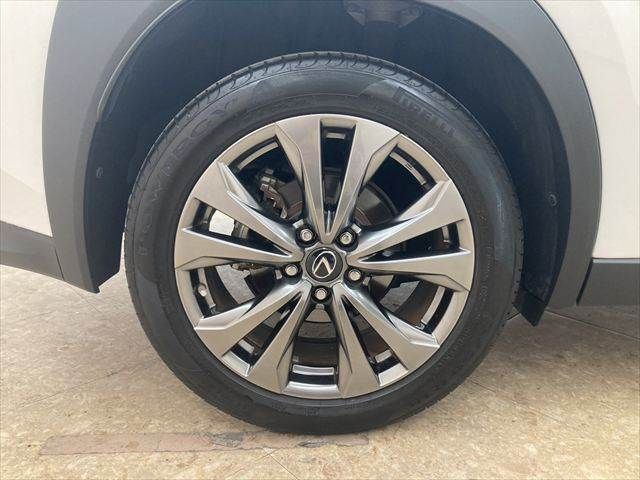 TOYOTA LEXUS UX250h 2019