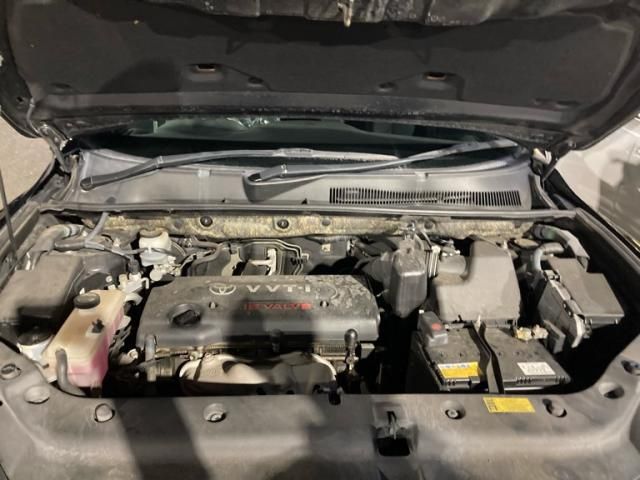 TOYOTA VANGUARD 2WD 2010