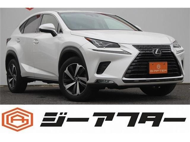 TOYOTA LEXUS NX300 2018