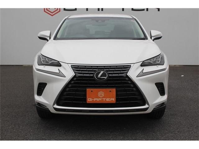 TOYOTA LEXUS NX300 2018