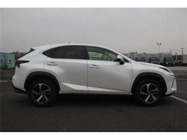TOYOTA LEXUS NX300 2018