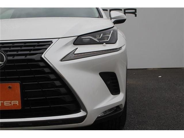 TOYOTA LEXUS NX300 2018