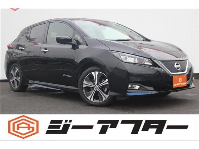 NISSAN LEAF 2017