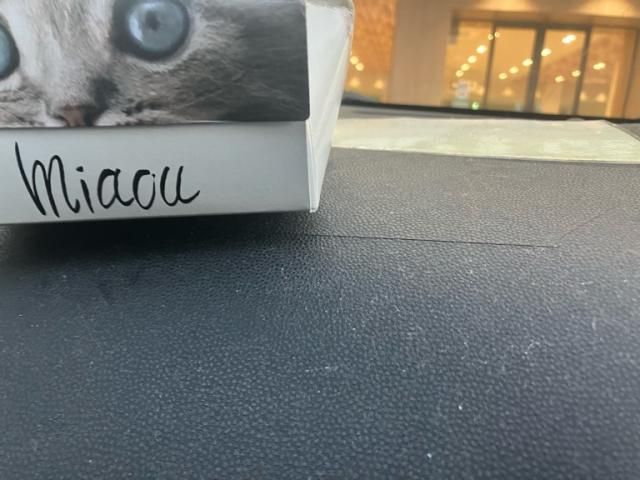 MAZDA AXELA SPORTS 2009