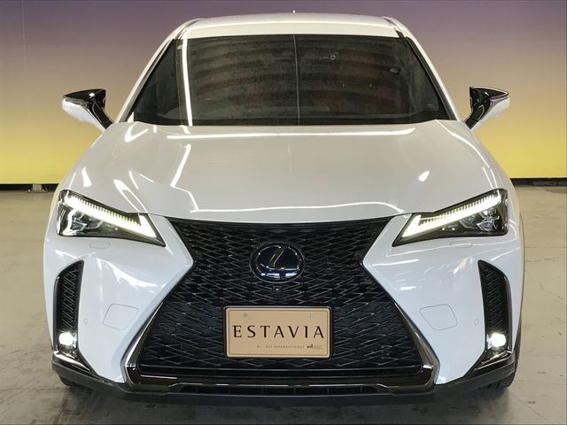 TOYOTA LEXUS UX250h 2019