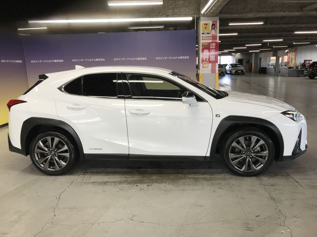TOYOTA LEXUS UX250h 2019