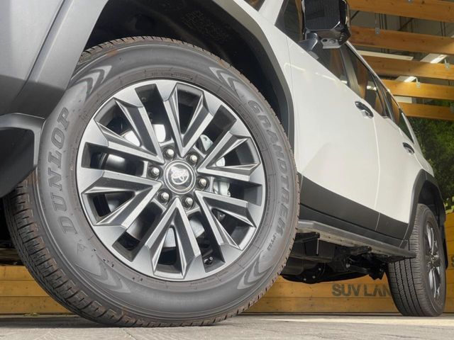 TOYOTA LANDCRUISER 250 2025