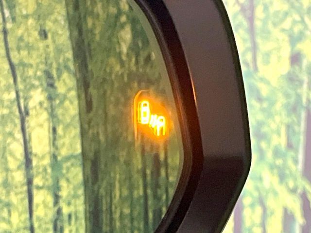 TOYOTA VOXY HYBRID 2025