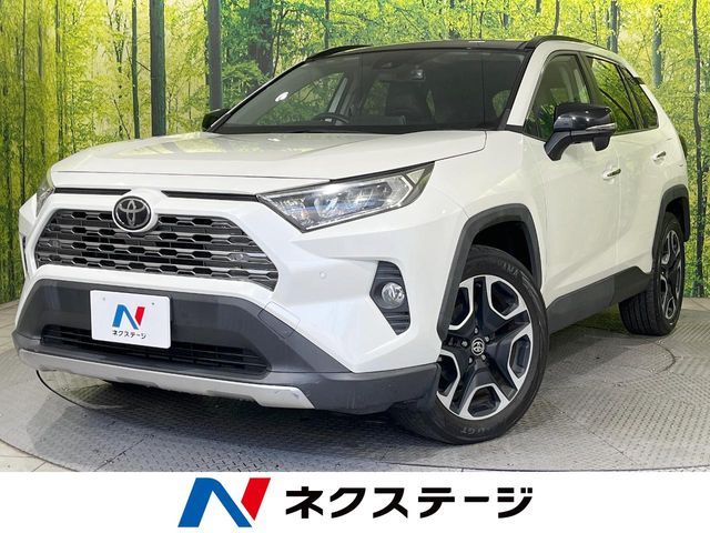 TOYOTA RAV4 4WD 2019