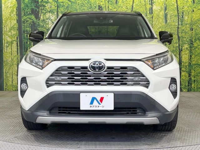 TOYOTA RAV4 4WD 2019